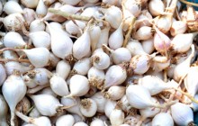 Gần Tết mỗi kg tỏi cô đơn giá 2 triệu đồng