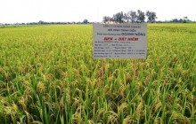 Đất hiếm Doanh Nông, nông sản đầy bồ