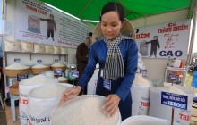 Câu chuyện lúa thơm