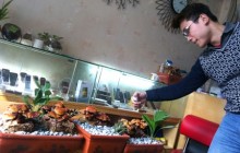 Sau chơi Tết, có nên sử dụng nấm linh chi bonsai?