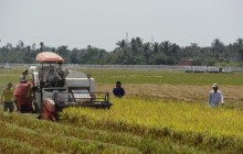 Xuất khẩu gạo khó ngay từ đầu năm