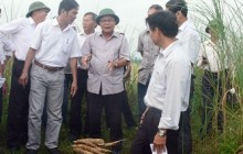 Cam Lộ tập trung hoàn thiện các tiêu chí đề ra