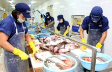 Đại gia miền Tây phá sản, nhân viên ngân hàng 'chết' theo