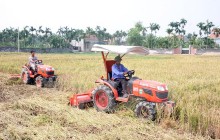 Tìm lời giải cho bài toán tái cơ cấu nông nghiệp Việt Nam