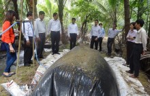 Biogas cho chăn nuôi nhỏ