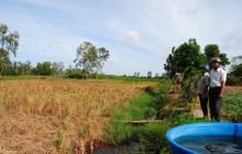 Vùng ngọt hóa