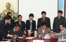 Cho thuê hơn 700 ha rừng phòng hộ