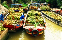 GS. Nguyễn Lân Dũng: Tôi vẫn lạc quan về tình hình nông nghiệp nước ta