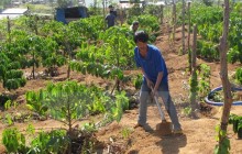 Còn nhiều hộ nghèo, Gia Lai khó đạt lộ trình xây nông thôn mới