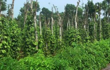 Đột phá nhờ đồng thuận