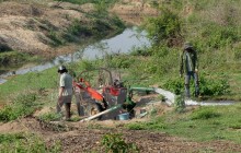 Hàng chục nghìn hécta cây trồng "ngắc ngoải" trong cơn đại hạn