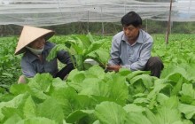 Củng cố và nâng chất phong trào