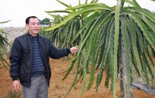 Người đàn ông "sờ" đâu cũng ra tiền