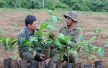 Phó chủ tịch Nestlé toàn cầu: 'Việt Nam cần tăng năng suất cây cà phê'