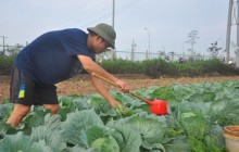 Làm thế nào để phát huy thành quả nông thôn mới?