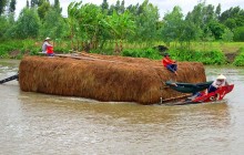 Thương lái tranh mua, người miền Tây bán rơm nhanh hơn lúa