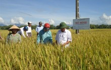 Hạn hán, mặn xâm nhập: Tìm cách chung sống hòa bình với "mẹ" thiên nhiên