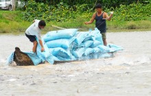 Lạm dụng kháng sinh thủy sản, vì sao?