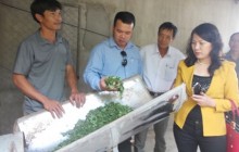 "Nữ tướng" đất võ