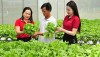 Từ nguồn vốn vay của Agribank, nhiều cá nhân, hộ gia đình đã phát triển hiệu quả mô hình sản xuất kinh doanh, thoát nghèo và vươn lên làm giàu