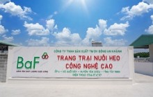 BaF Việt Nam (BAF) chính thức lên tiếng về thông tin gây ô nhiễm môi trường tại Hòa Bình