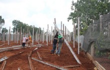 Tây Nguyên: Bất chấp cảnh báo, dân ồ ạt trồng hồ tiêu