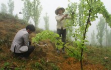 Thông đường, thông cả... tư duy