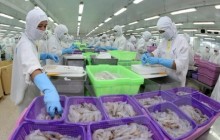 Kim ngạch xuất khẩu thủy sản 6 tháng đầu năm sụt giảm mạnh