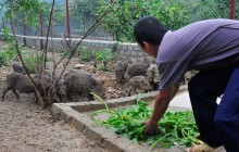 Nhà khoa học và doanh nghiệp - bạn đồng hành để nhà nông đi xa