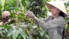 WB phê duyệt 315 triệu USD hỗ trợ nông nghiệp và giáo dục Việt Nam