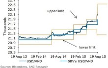 Tiền đồng đã mất giá 5% trong năm nay