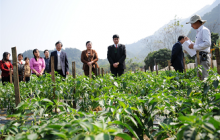 Kỳ vọng nông nghiệp Việt - Hàn