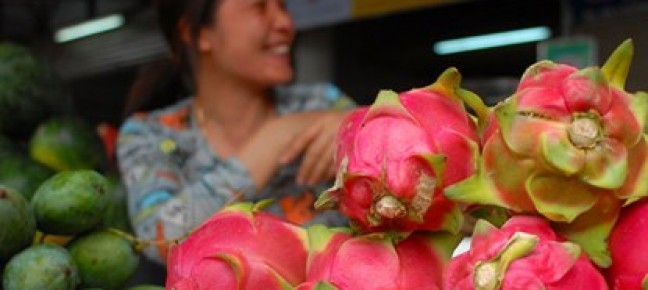 Vietnamese fruits to Russia: no country could replace Vietnam