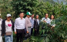 Tổng hội NN và PT NT Việt nam thăm và làm việc với hội viên - Công ty TNHH mây tre xuất khẩu Ngọc động Hà nam